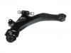 Bras de liaison Control Arm:54500-2D000