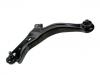 控制臂 Control Arm:EC01-34-350F