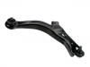 Brazo de suspensión Control Arm:EC01-34-300F