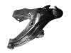 Control Arm:48620-60010