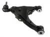 Control Arm:48069-60010