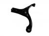 Bras de liaison Control Arm:54500-1E100