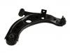 Control Arm:48068-B1020