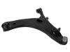 Brazo de suspensión Control Arm:20202-SC002