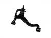 Brazo de suspensión Control Arm:RBJ 500183