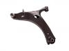 Brazo de suspensión Control Arm:20202-FJ050