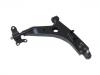 Brazo de suspensión Control Arm:9018149